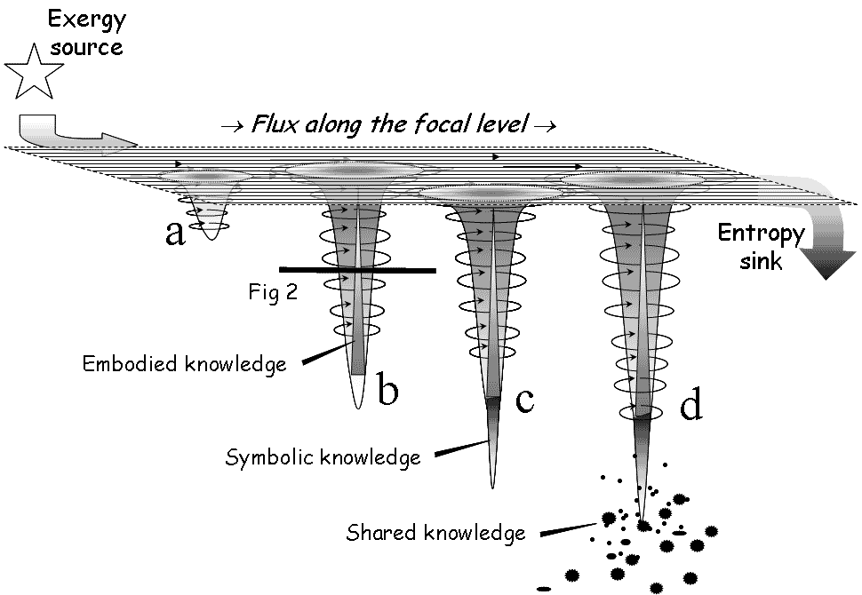 Emergence of autopoietic eddies